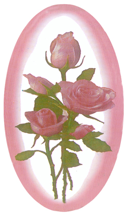 DNSBLUF 072 Camoe Roses PINK (11011990) Matthews